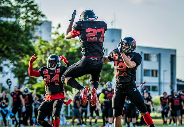 Welche Spielzeuge sind fÃ¼r Katzen am besten geeignet?